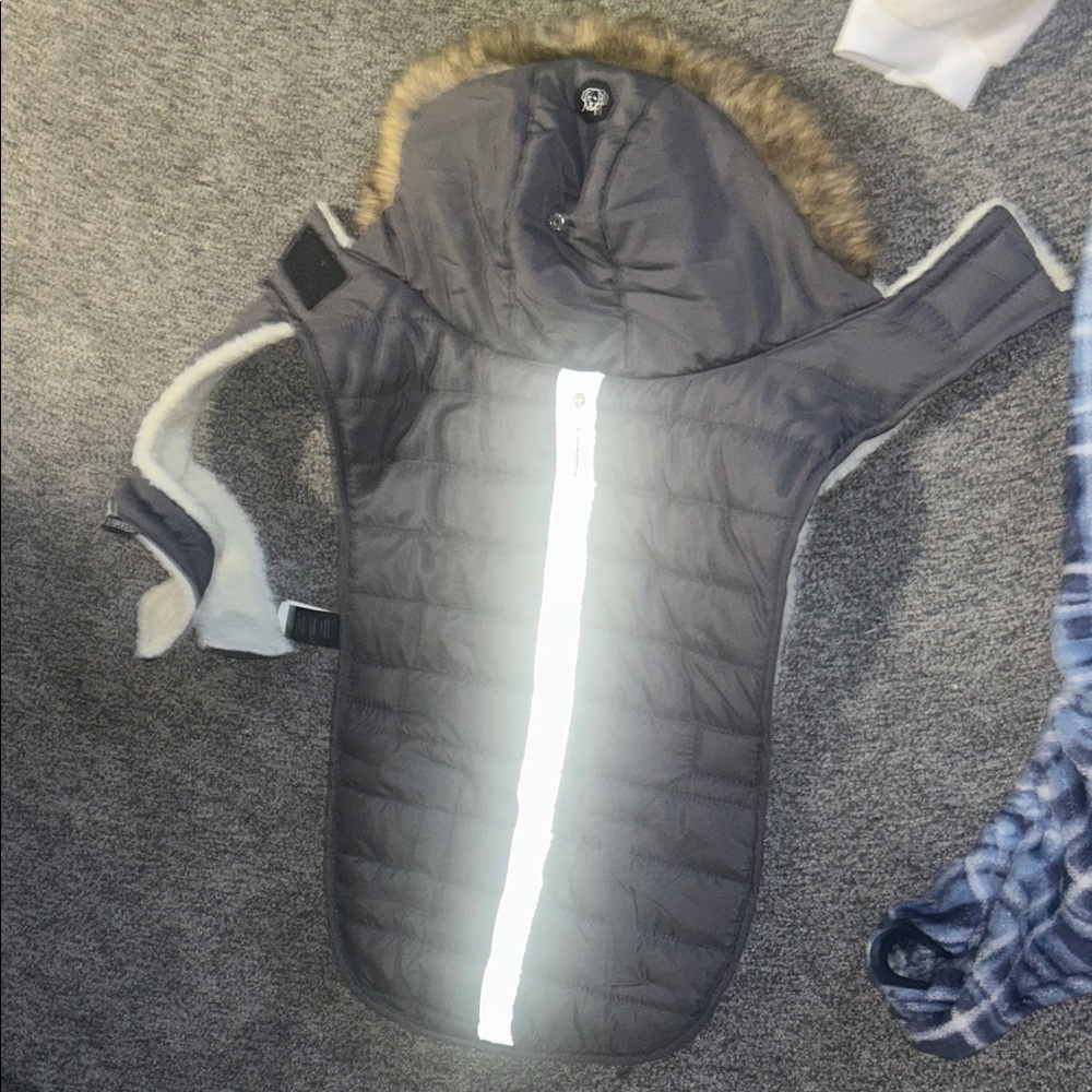 Dog clothes and items